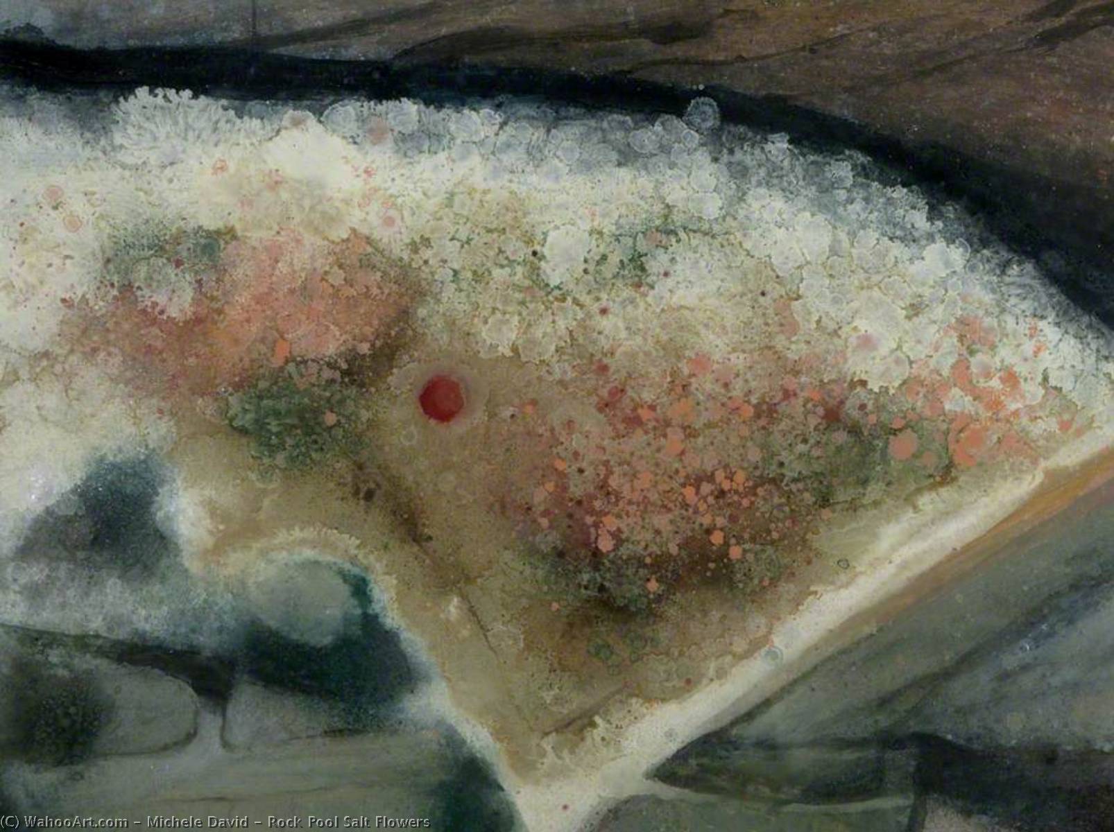 Wikioo.org - The Encyclopedia of Fine Arts - Painting, Artwork by Michele David - Rock Pool Salt Flowers