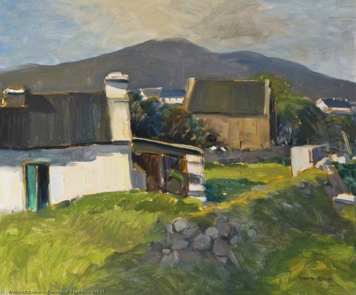 Wikioo.org - The Encyclopedia of Fine Arts - Painting, Artwork by Desmond Turner - Achill