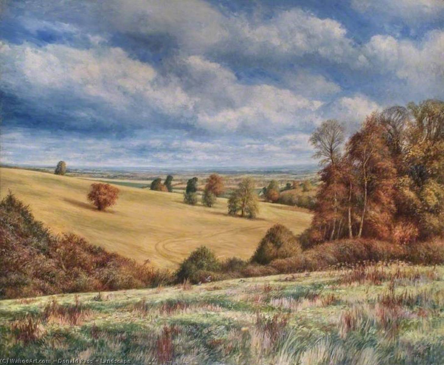 Wikioo.org - The Encyclopedia of Fine Arts - Painting, Artwork by Donald Pass - Landscape