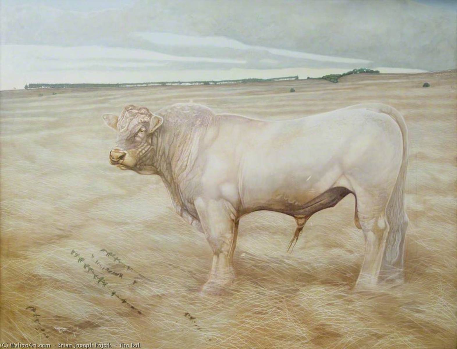 Wikioo.org - The Encyclopedia of Fine Arts - Painting, Artwork by Brian Joseph Fojcik - The Bull