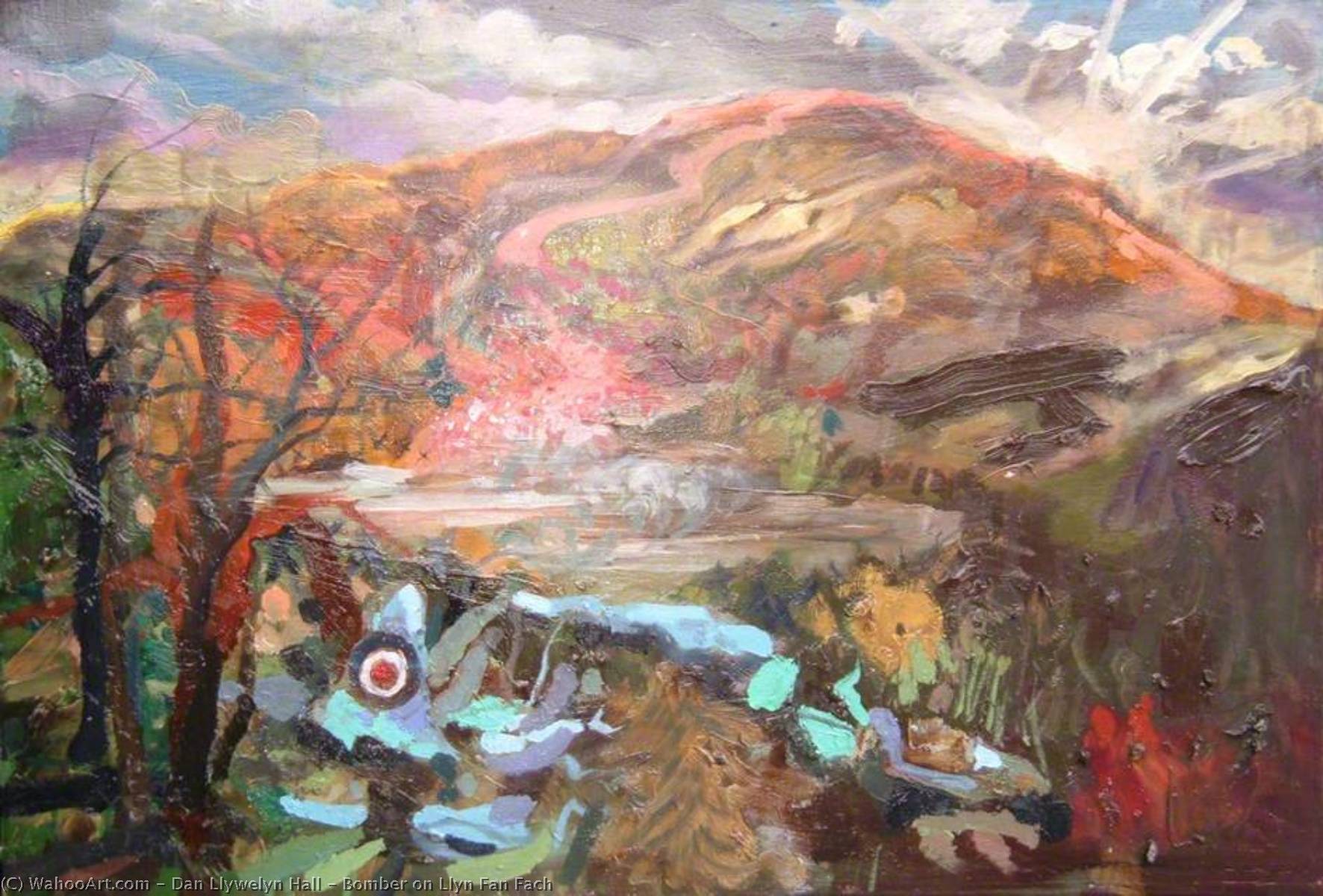 Wikioo.org - The Encyclopedia of Fine Arts - Painting, Artwork by Dan Llywelyn Hall - Bomber on Llyn Fan Fach