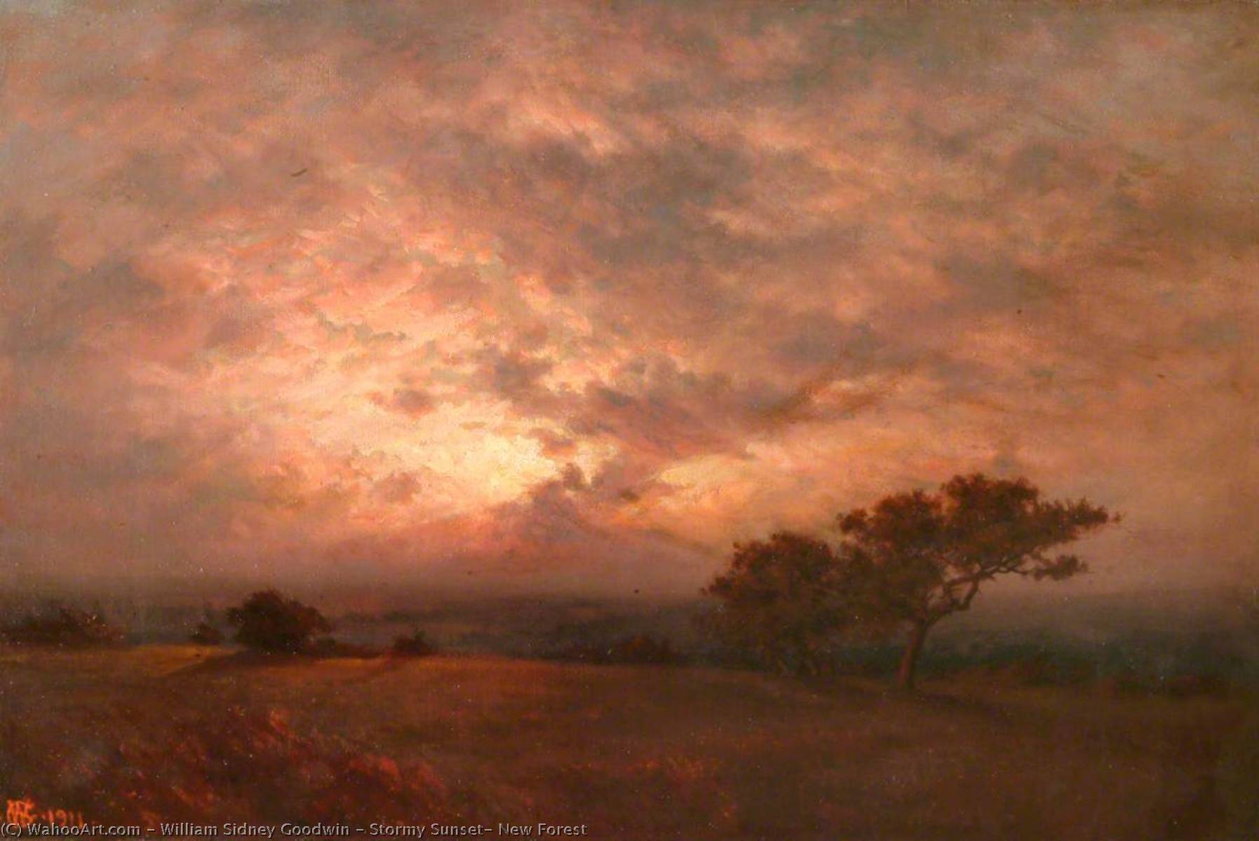 Wikioo.org - The Encyclopedia of Fine Arts - Painting, Artwork by William Sidney Goodwin - Stormy Sunset, New Forest
