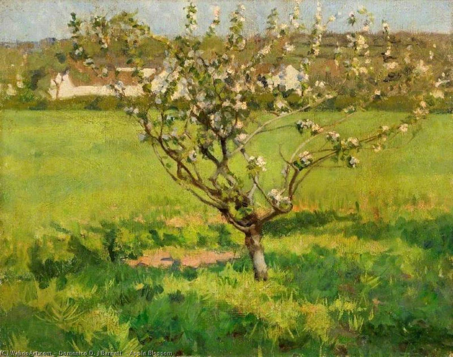 WikiOO.org - Encyclopedia of Fine Arts - Festés, Grafika Domenico D. J Barnett - Apple Blossom