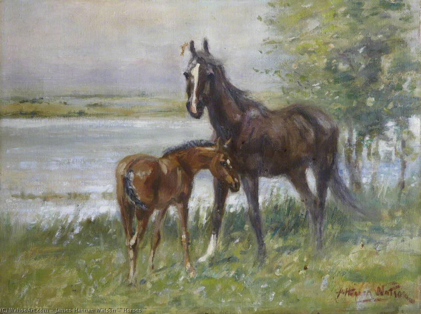 Wikioo.org - The Encyclopedia of Fine Arts - Painting, Artwork by James Hannan Watson - Horses