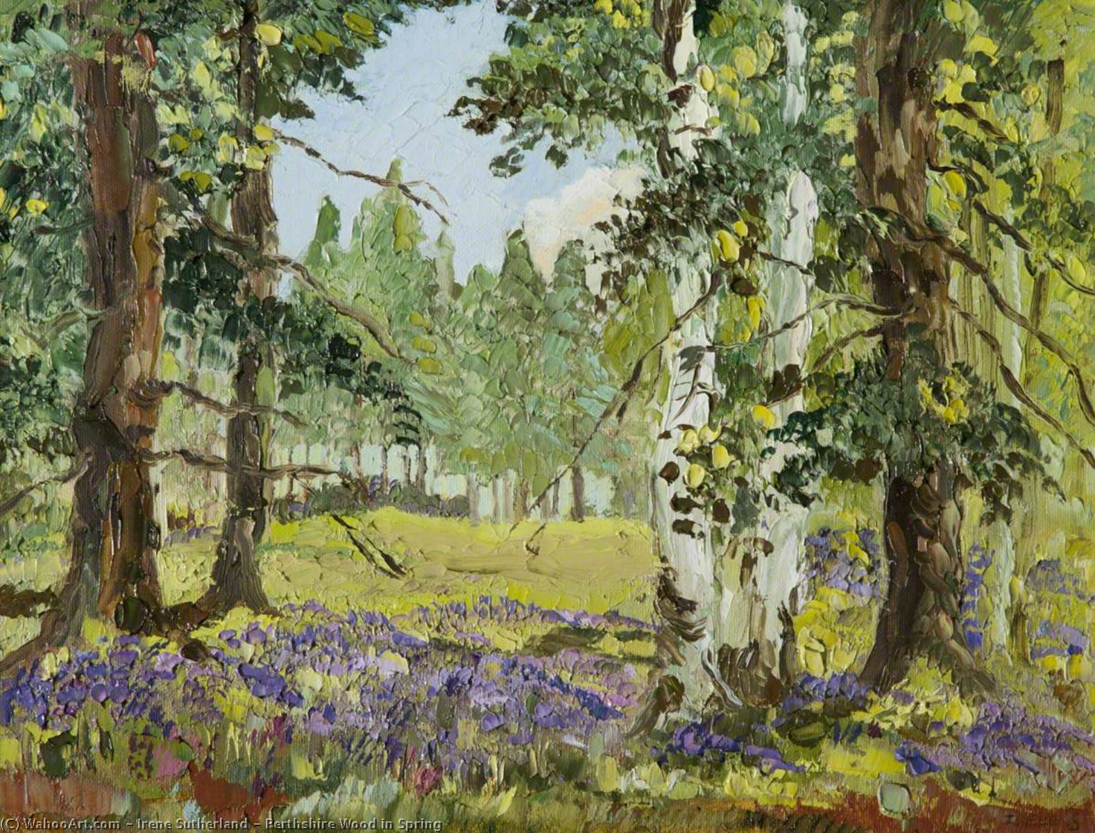 Wikioo.org - The Encyclopedia of Fine Arts - Painting, Artwork by Irene Sutherland - Perthshire Wood in Spring