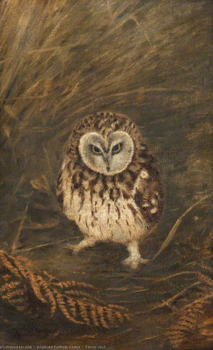 Wikioo.org - The Encyclopedia of Fine Arts - Painting, Artwork by Reginald Badham Lodge - Tawny Owl