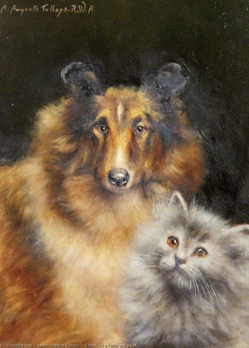 Wikioo.org - The Encyclopedia of Fine Arts - Painting, Artwork by Agnes Augusta Talboys - A Study of a Collie and a Cat