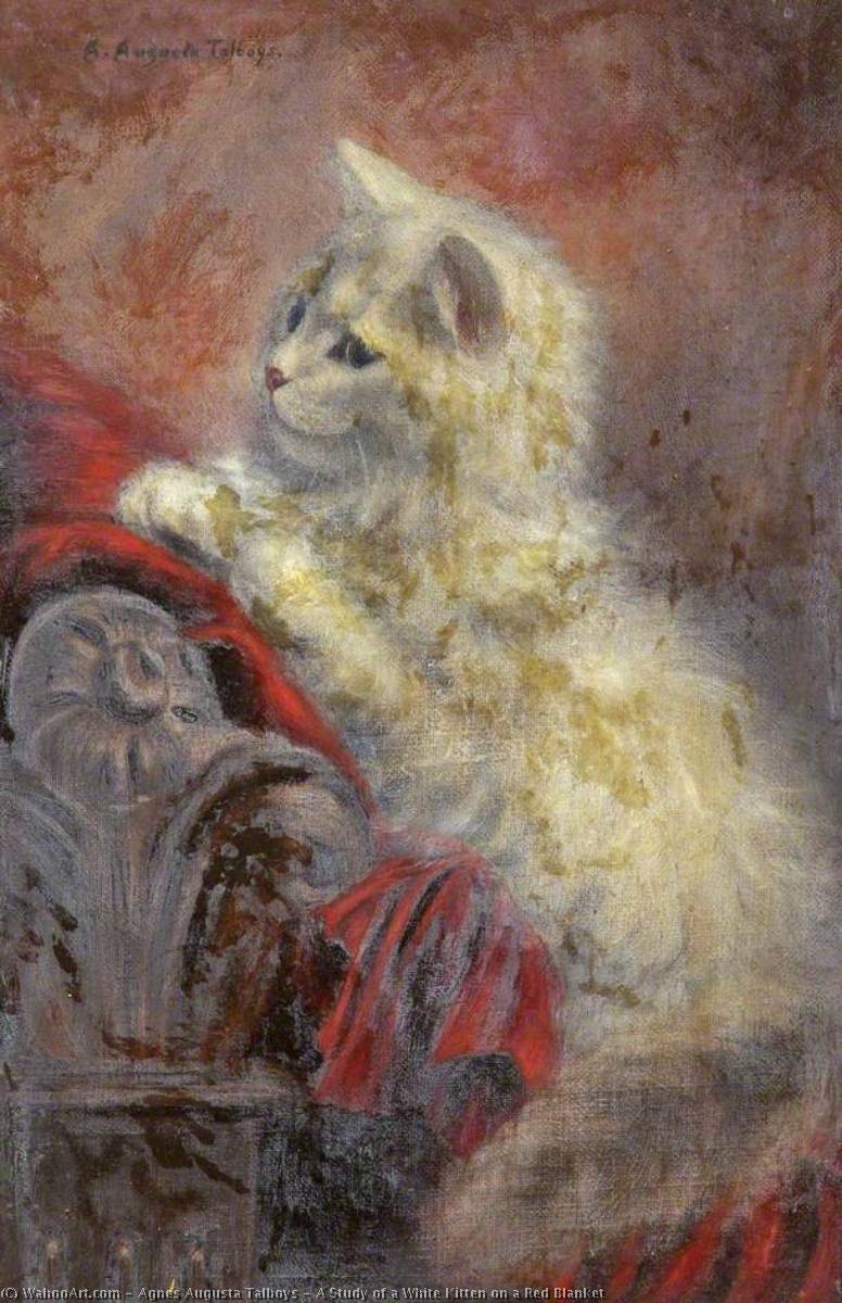 Wikioo.org - The Encyclopedia of Fine Arts - Painting, Artwork by Agnes Augusta Talboys - A Study of a White Kitten on a Red Blanket