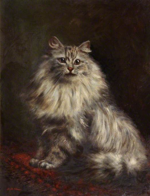 Wikioo.org - The Encyclopedia of Fine Arts - Painting, Artwork by Agnes Augusta Talboys - Study of a Persian Cat