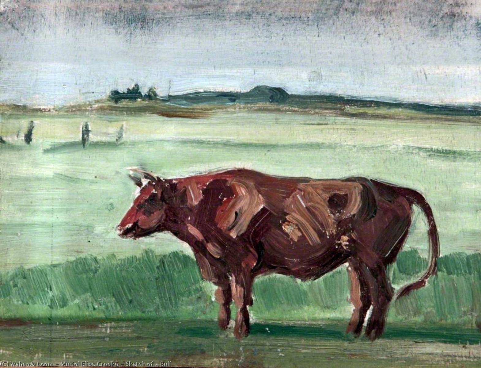 Wikioo.org - The Encyclopedia of Fine Arts - Painting, Artwork by Muriel Elise Crooke - Sketch of a Bull