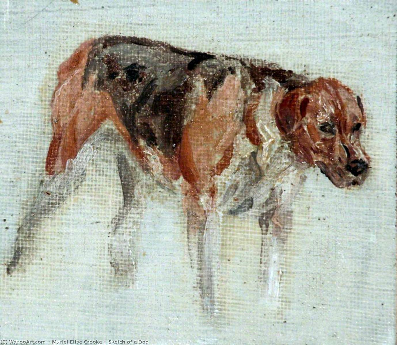 Wikioo.org - The Encyclopedia of Fine Arts - Painting, Artwork by Muriel Elise Crooke - Sketch of a Dog