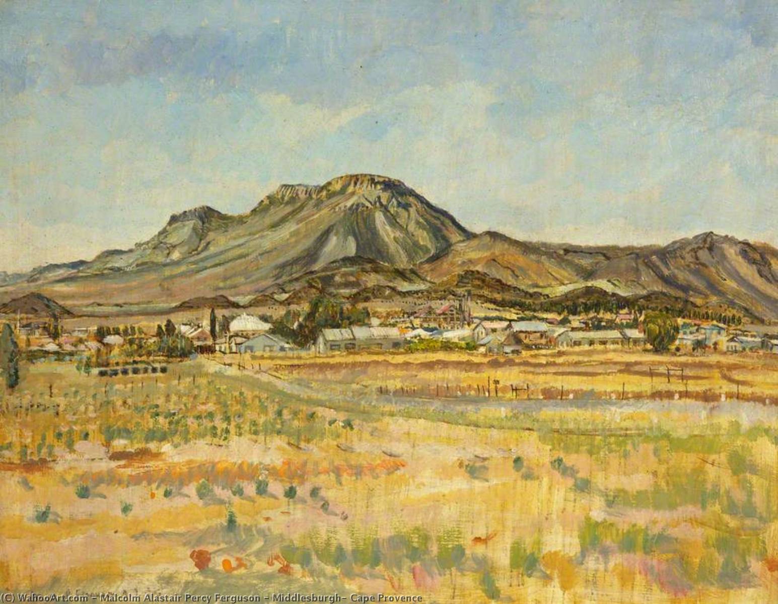 Wikioo.org - The Encyclopedia of Fine Arts - Painting, Artwork by Malcolm Alastair Percy Ferguson - Middlesburgh, Cape Provence