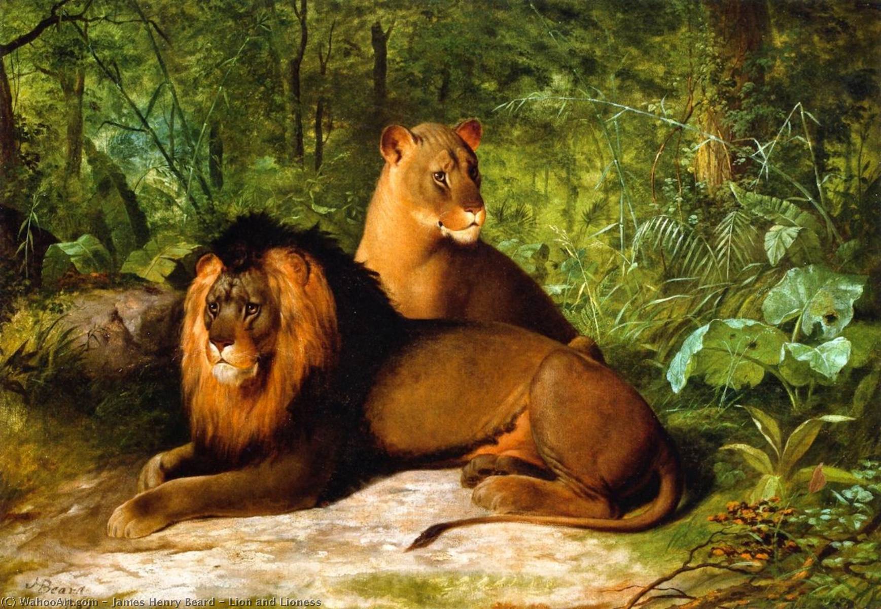 Wikioo.org - The Encyclopedia of Fine Arts - Painting, Artwork by James Henry Beard - Lion and Lioness