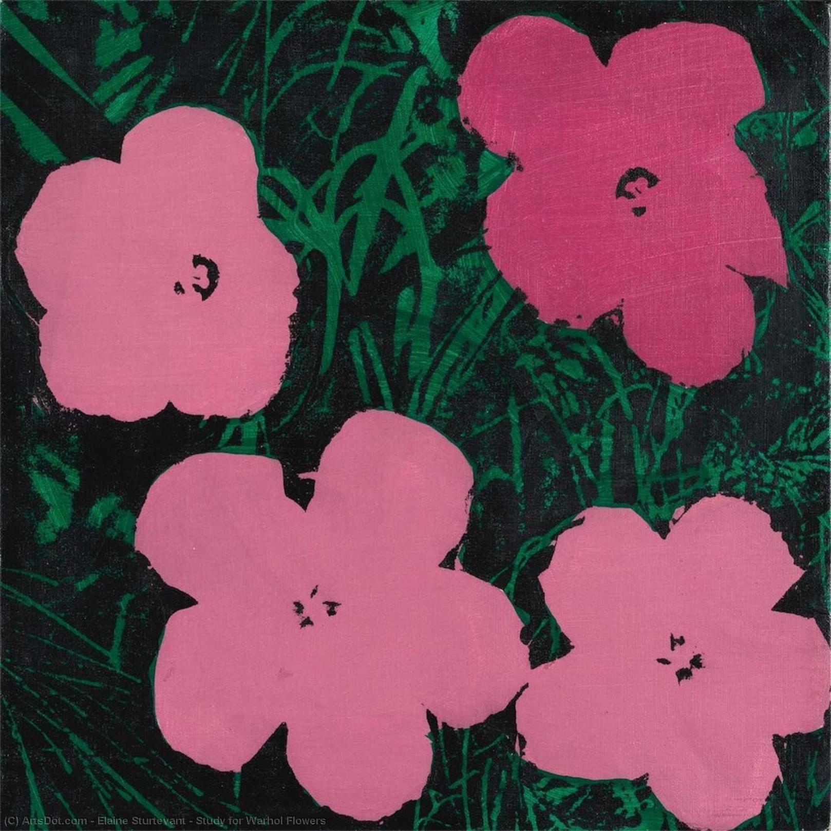 Wikioo.org - Encyklopedia Sztuk Pięknych - Malarstwo, Grafika Elaine Sturtevant - Study for Warhol Flowers