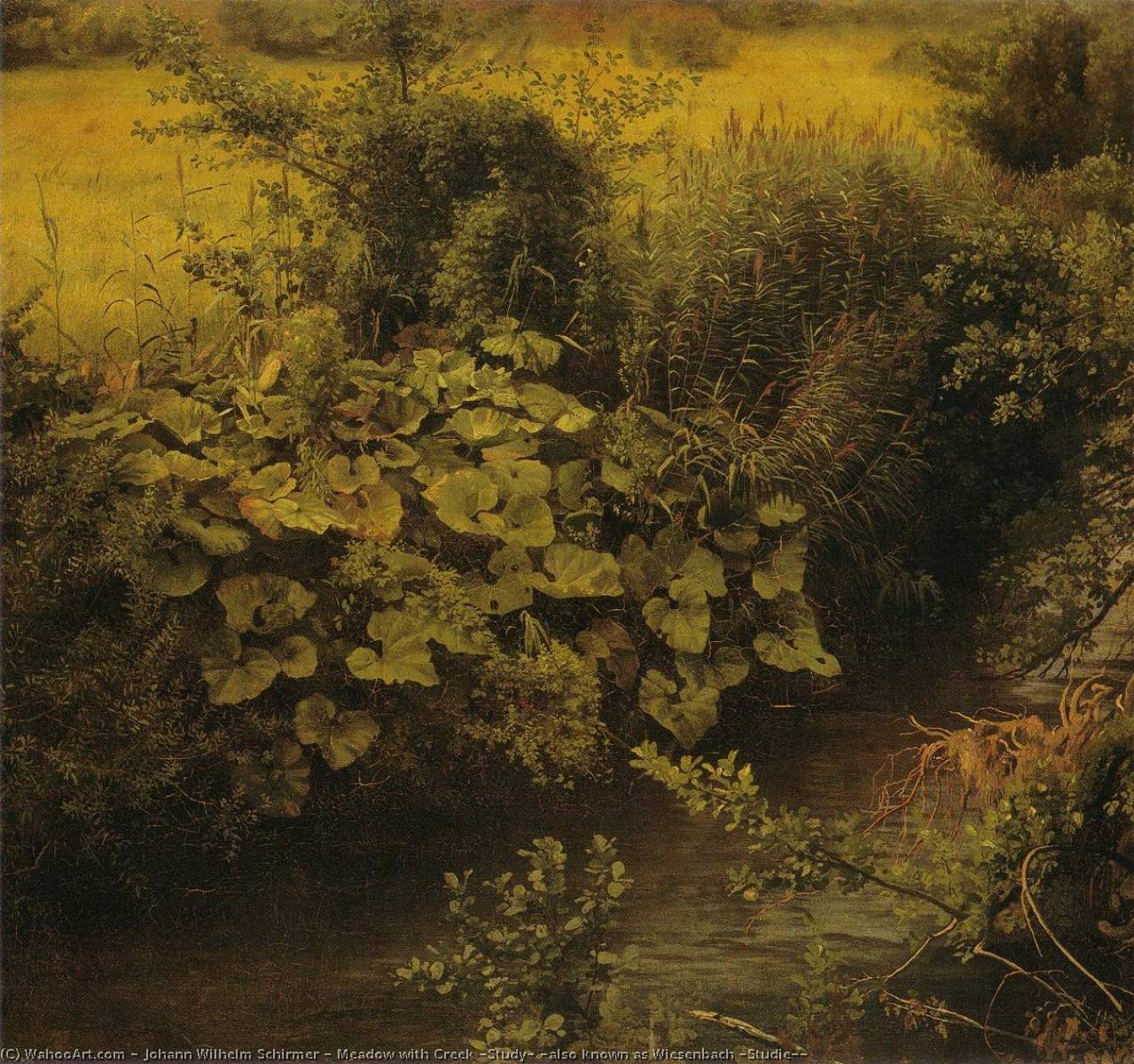 Wikioo.org – L'Enciclopedia delle Belle Arti - Pittura, Opere di Johann Wilhelm Schirmer - Prato con creek ( Studio ) ( conosciuto anche come Wiesenbach ( Studie ) )
