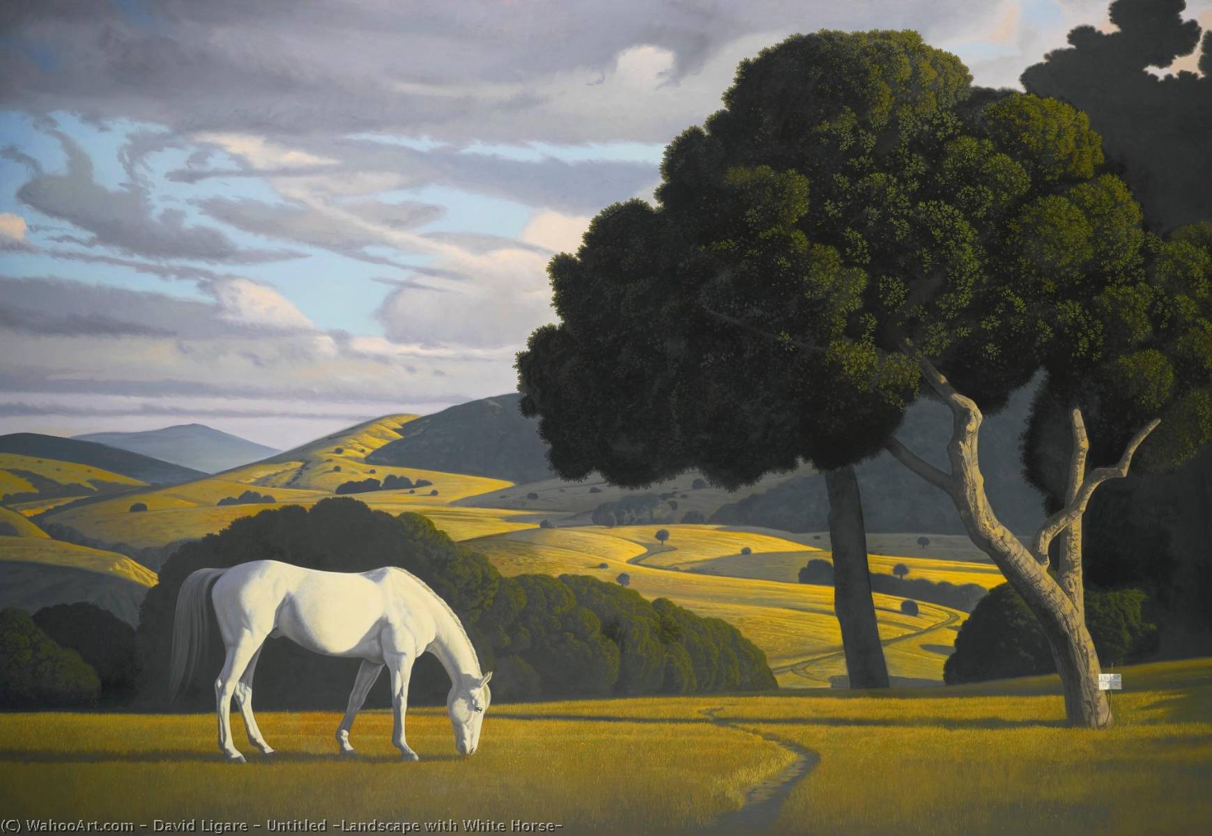 WikiOO.org - 백과 사전 - 회화, 삽화 David Ligare - Untitled (Landscape with White Horse)