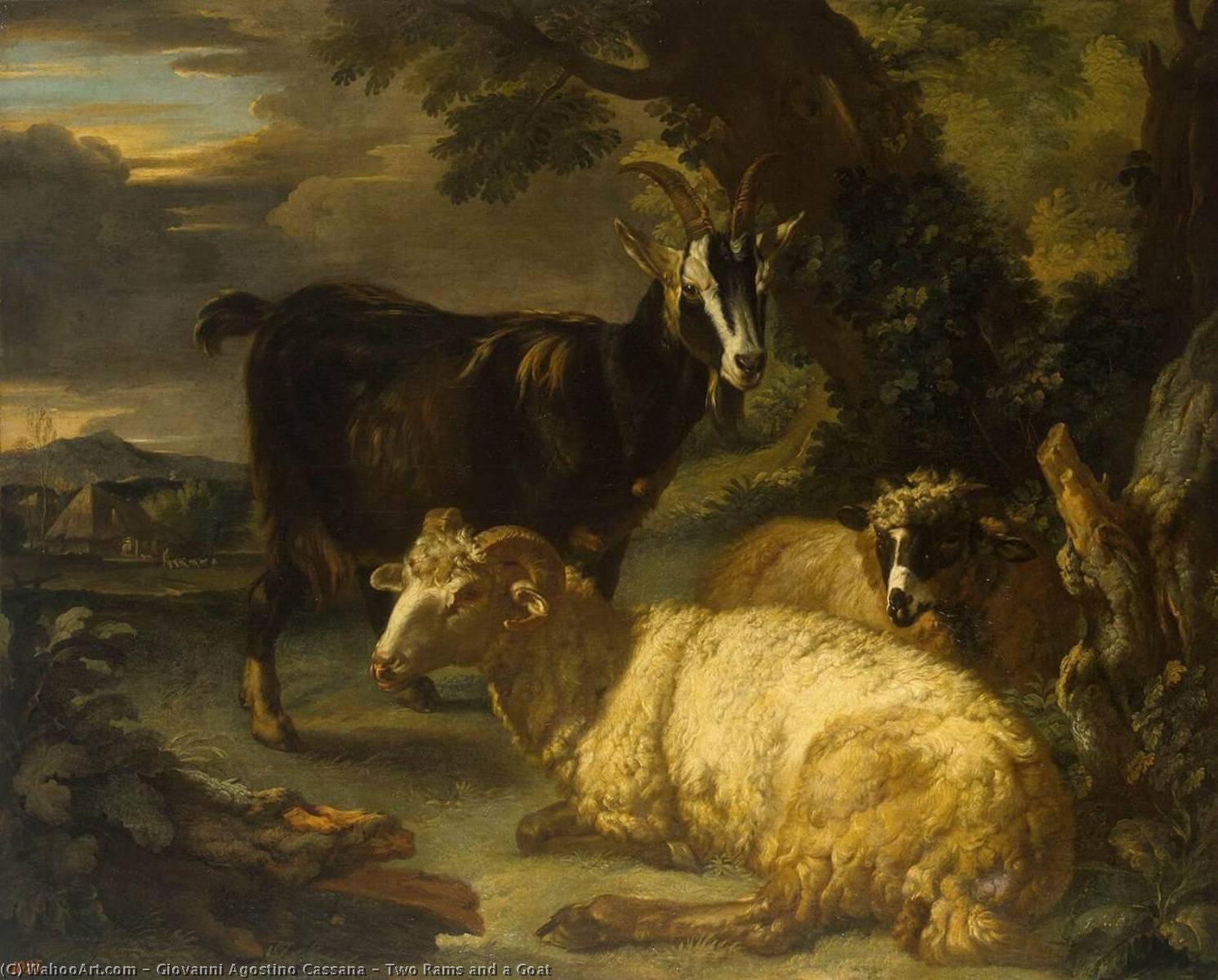 Wikioo.org - The Encyclopedia of Fine Arts - Painting, Artwork by Giovanni Agostino Cassana - Two Rams and a Goat