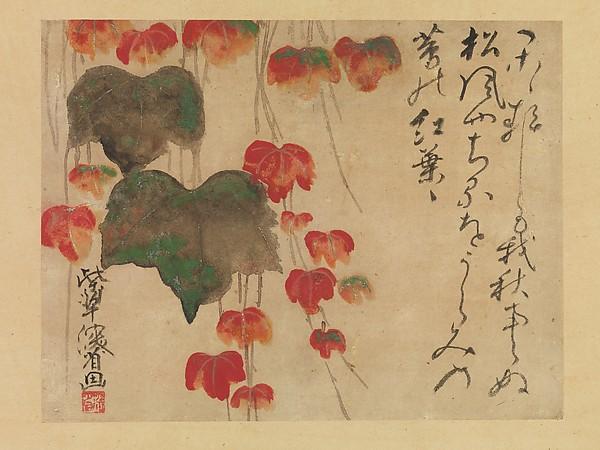 Wikioo.org - The Encyclopedia of Fine Arts - Painting, Artwork by Ogata Kenzan - 蔦紅葉図 Autumn Ivy