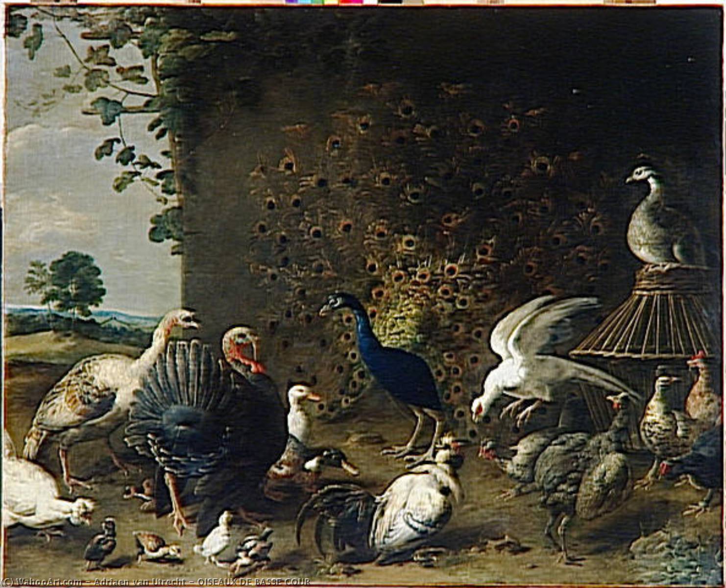 Wikioo.org – L'Encyclopédie des Beaux Arts - Peinture, Oeuvre de Adriaen Van Utrecht - OISEAUX DE BASSE COUR