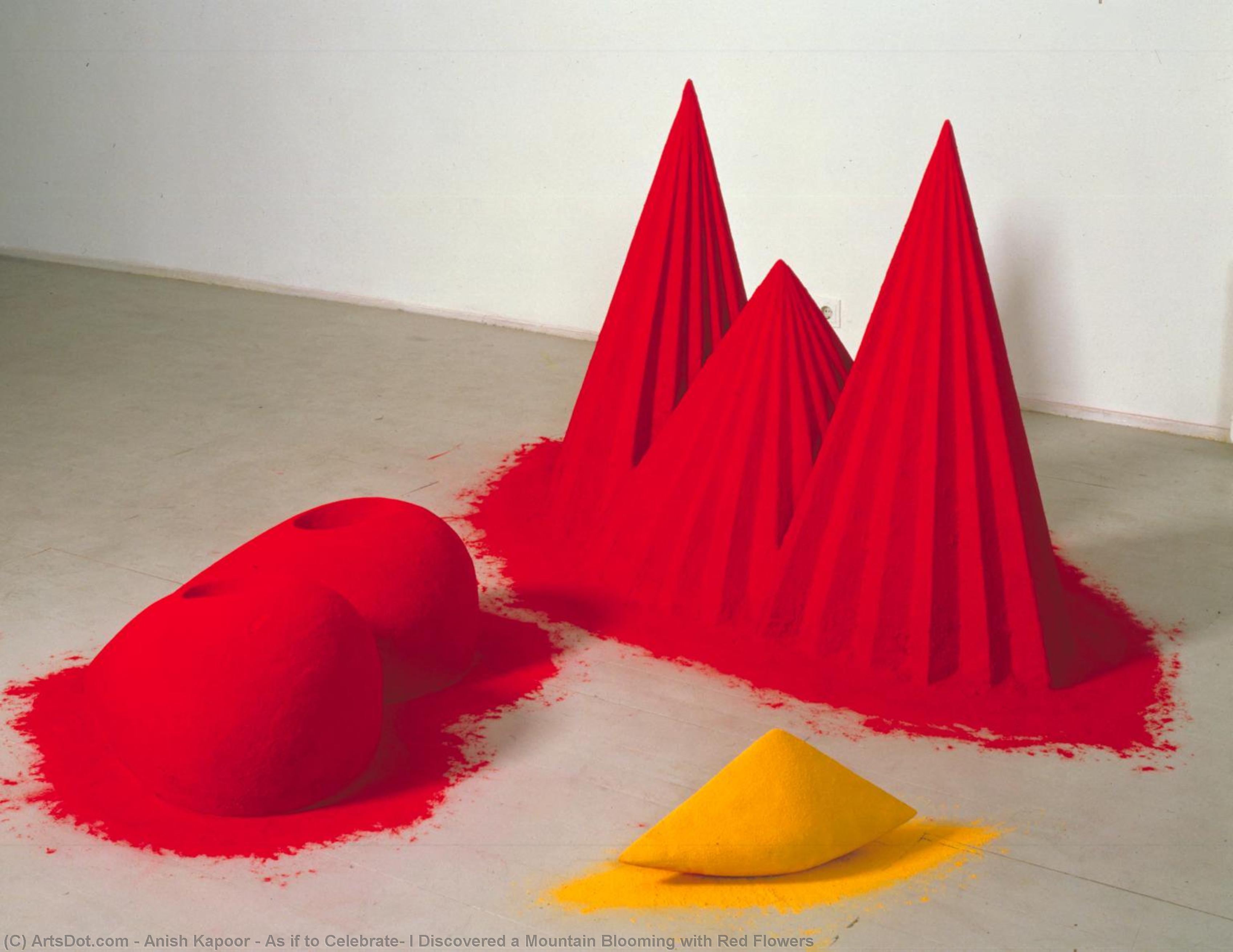 Wikioo.org - The Encyclopedia of Fine Arts - Painting, Artwork by Anish Kapoor - As if to Celebrate, I Discovered a Mountain Blooming with Red Flowers