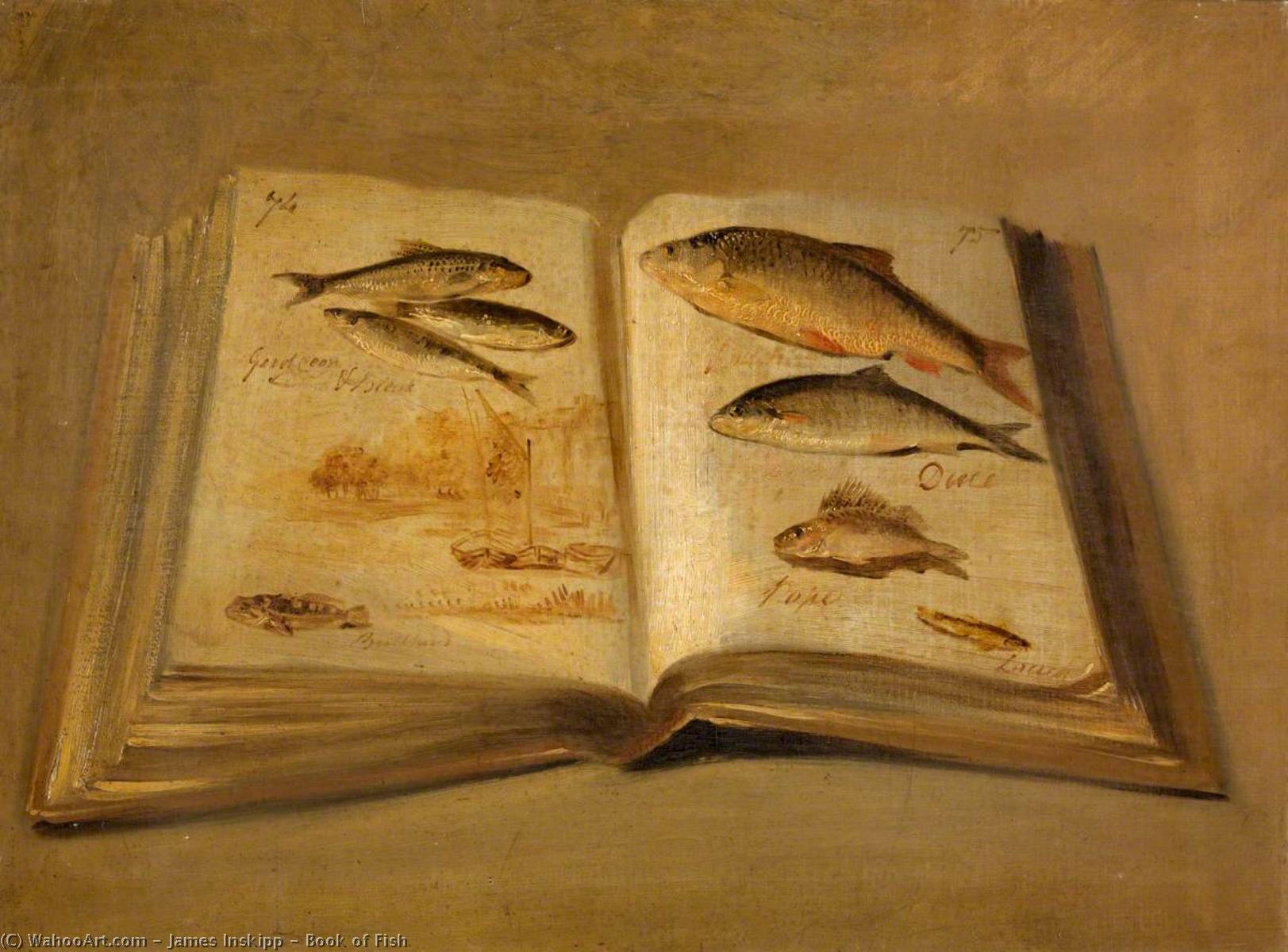 Wikioo.org - The Encyclopedia of Fine Arts - Painting, Artwork by James Inskipp - Book of Fish