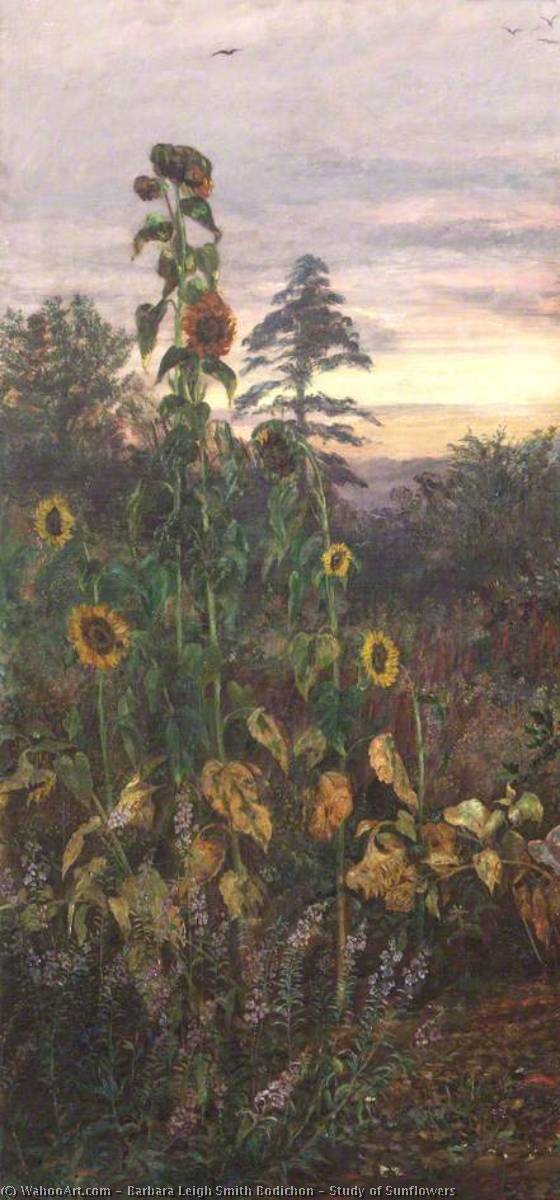 Wikioo.org - The Encyclopedia of Fine Arts - Painting, Artwork by Barbara Leigh Smith Bodichon - Study of Sunflowers
