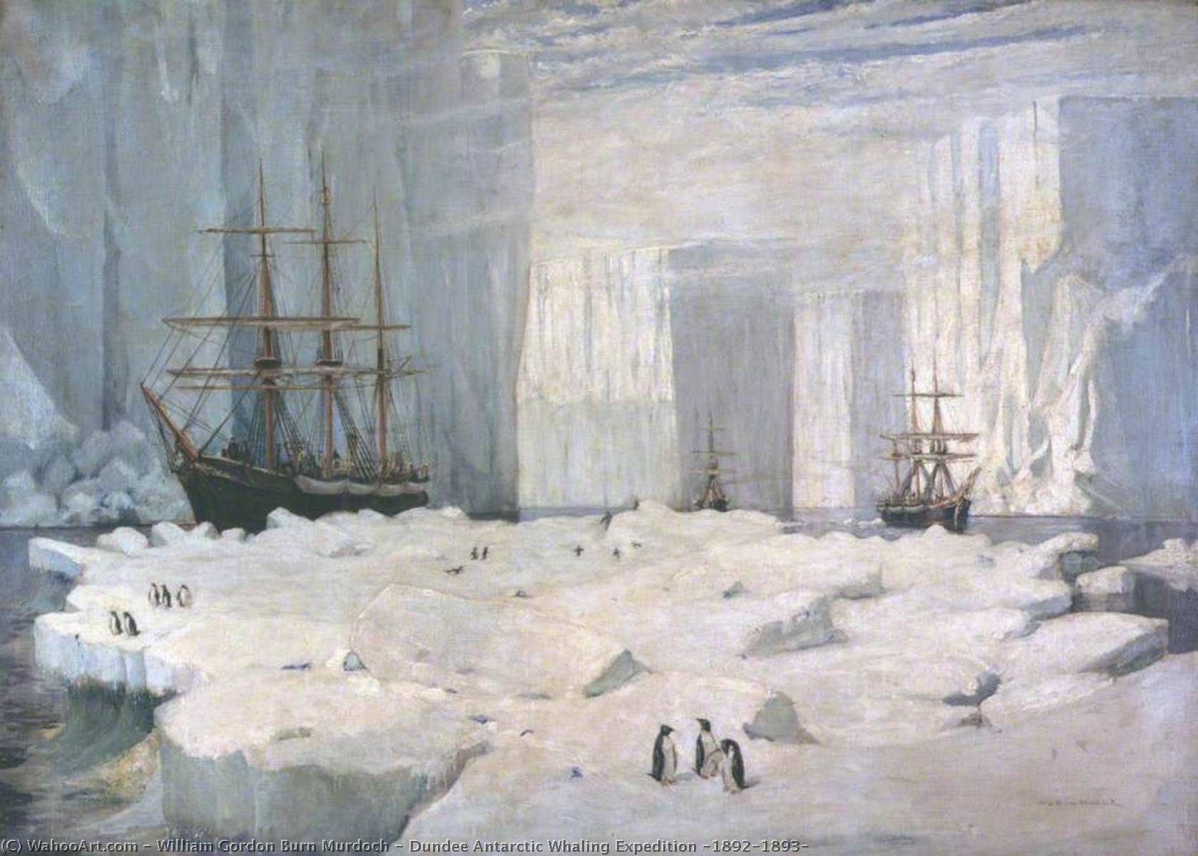 Wikioo.org - The Encyclopedia of Fine Arts - Painting, Artwork by William Gordon Burn Murdoch - Dundee Antarctic Whaling Expedition (1892–1893)