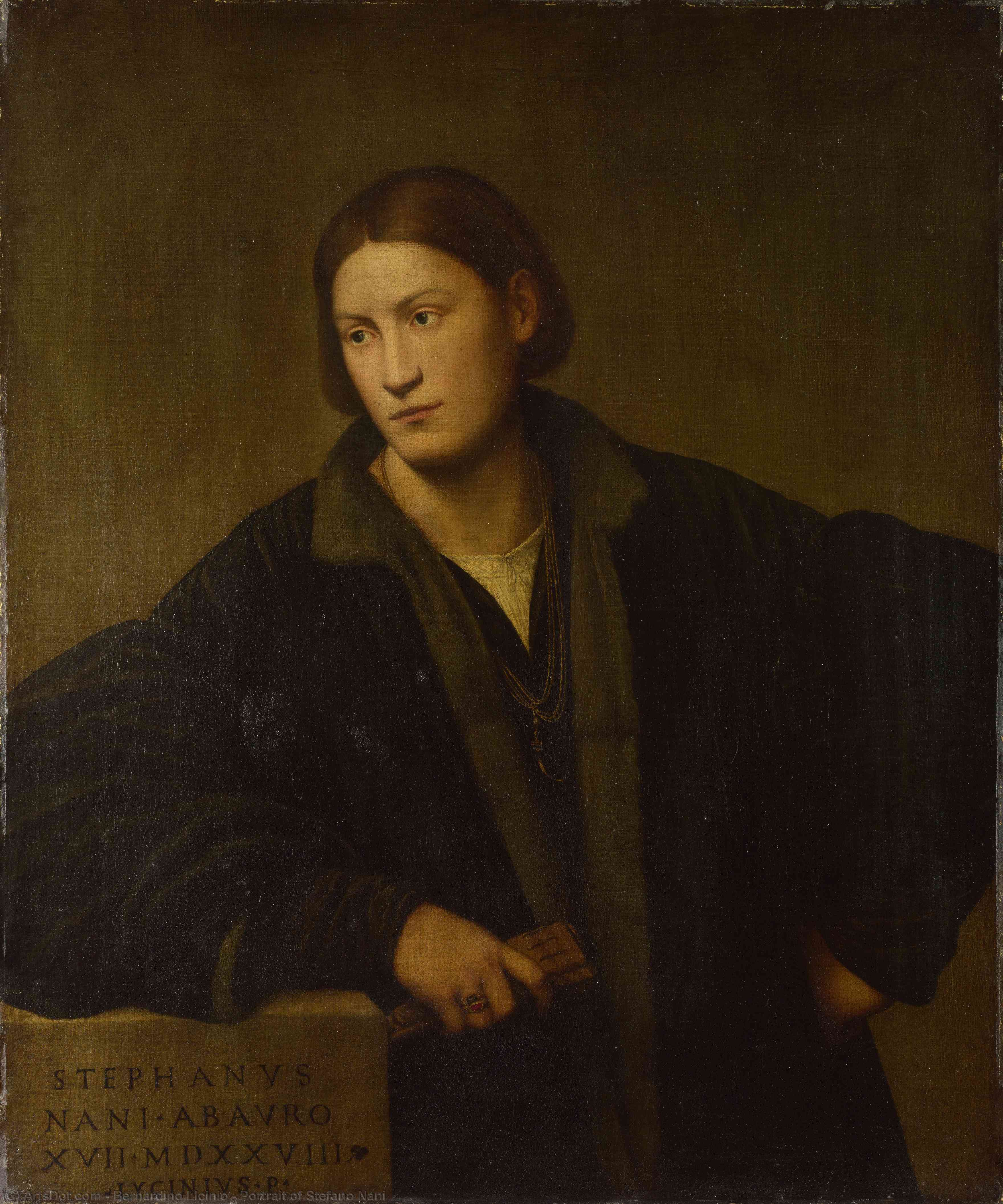 Wikoo.org - موسوعة الفنون الجميلة - اللوحة، العمل الفني Bernardino Licinio - Portrait of Stefano Nani