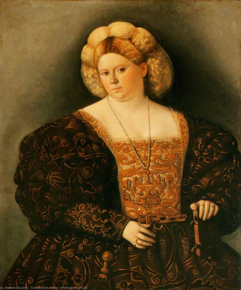 Wikioo.org - The Encyclopedia of Fine Arts - Painting, Artwork by Bernardino Licinio - Portrait of a Lady