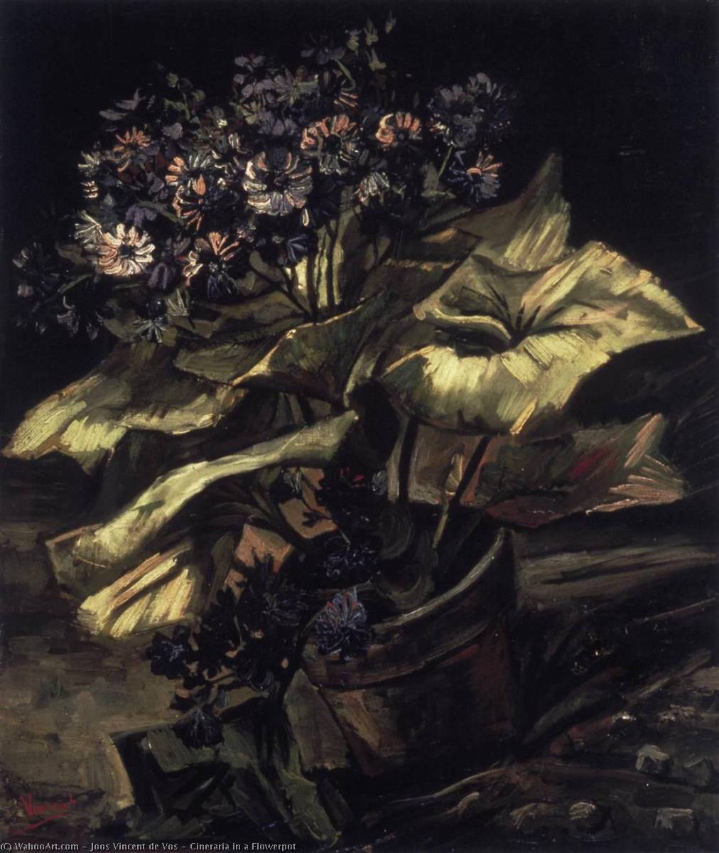 Wikioo.org - The Encyclopedia of Fine Arts - Painting, Artwork by Joos Vincent De Vos - Cineraria in a Flowerpot