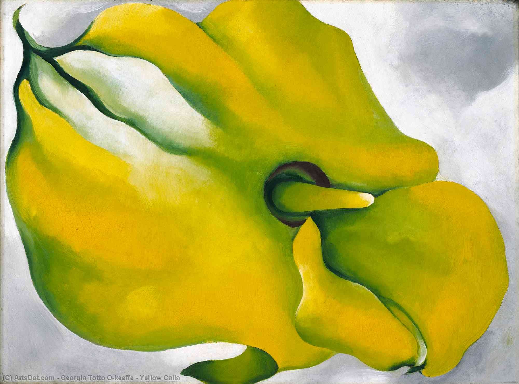 Wikioo.org - The Encyclopedia of Fine Arts - Painting, Artwork by Georgia Totto O'keeffe - Yellow Calla