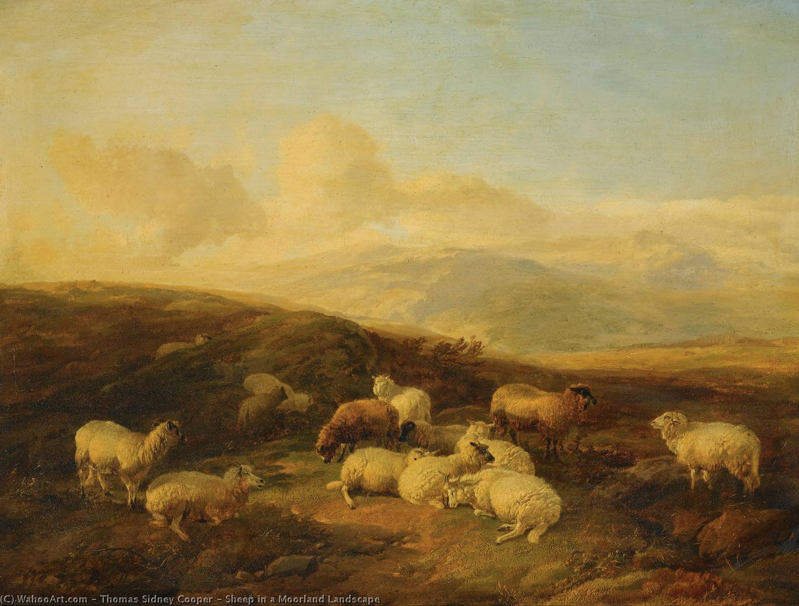Wikioo.org - The Encyclopedia of Fine Arts - Painting, Artwork by Thomas Sidney Cooper - Sheep in a Moorland Landscape