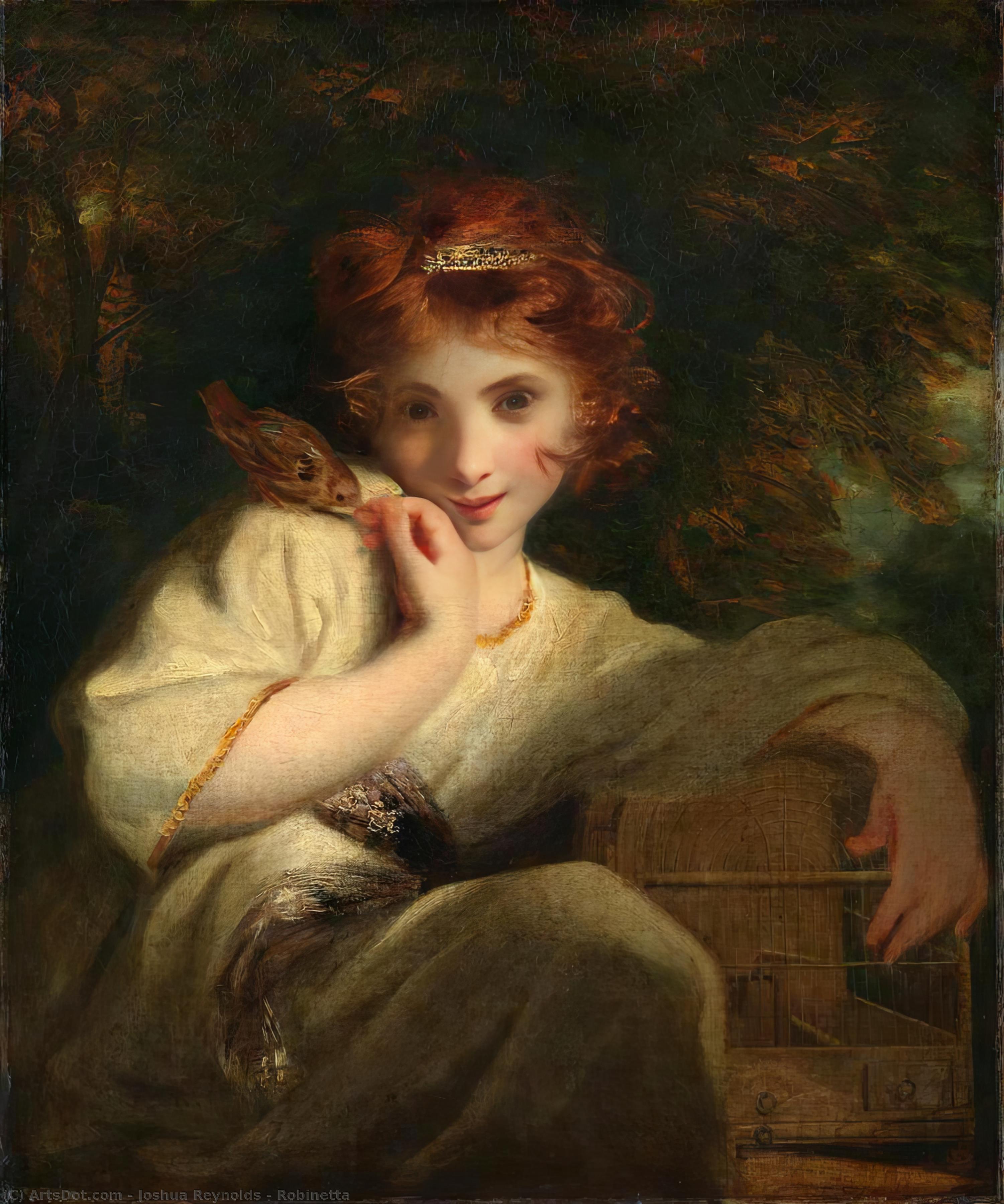 Wikioo.org - The Encyclopedia of Fine Arts - Painting, Artwork by Joshua Reynolds - Robinetta