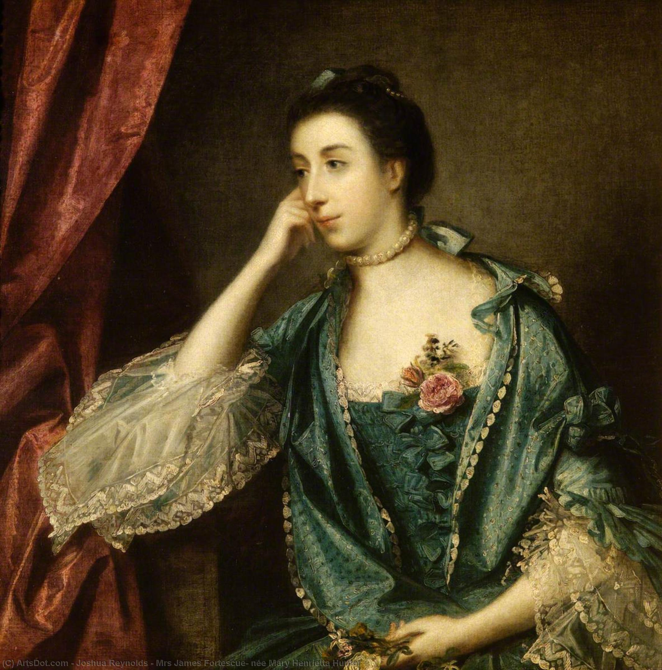 Wikioo.org - The Encyclopedia of Fine Arts - Painting, Artwork by Joshua Reynolds - Mrs James Fortescue, née Mary Henrietta Hunter