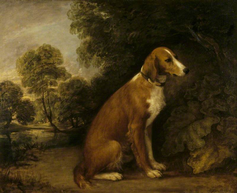 Wikioo.org - สารานุกรมวิจิตรศิลป์ - จิตรกรรม Thomas Gainsborough - A Setter in a Landscape