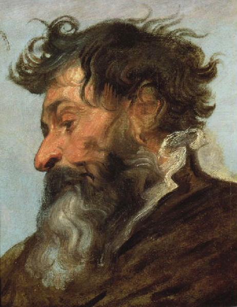 Wikioo.org - The Encyclopedia of Fine Arts - Painting, Artwork by Anthony Van Dyck - Tête d'homme de profil, tourné vers la gauche