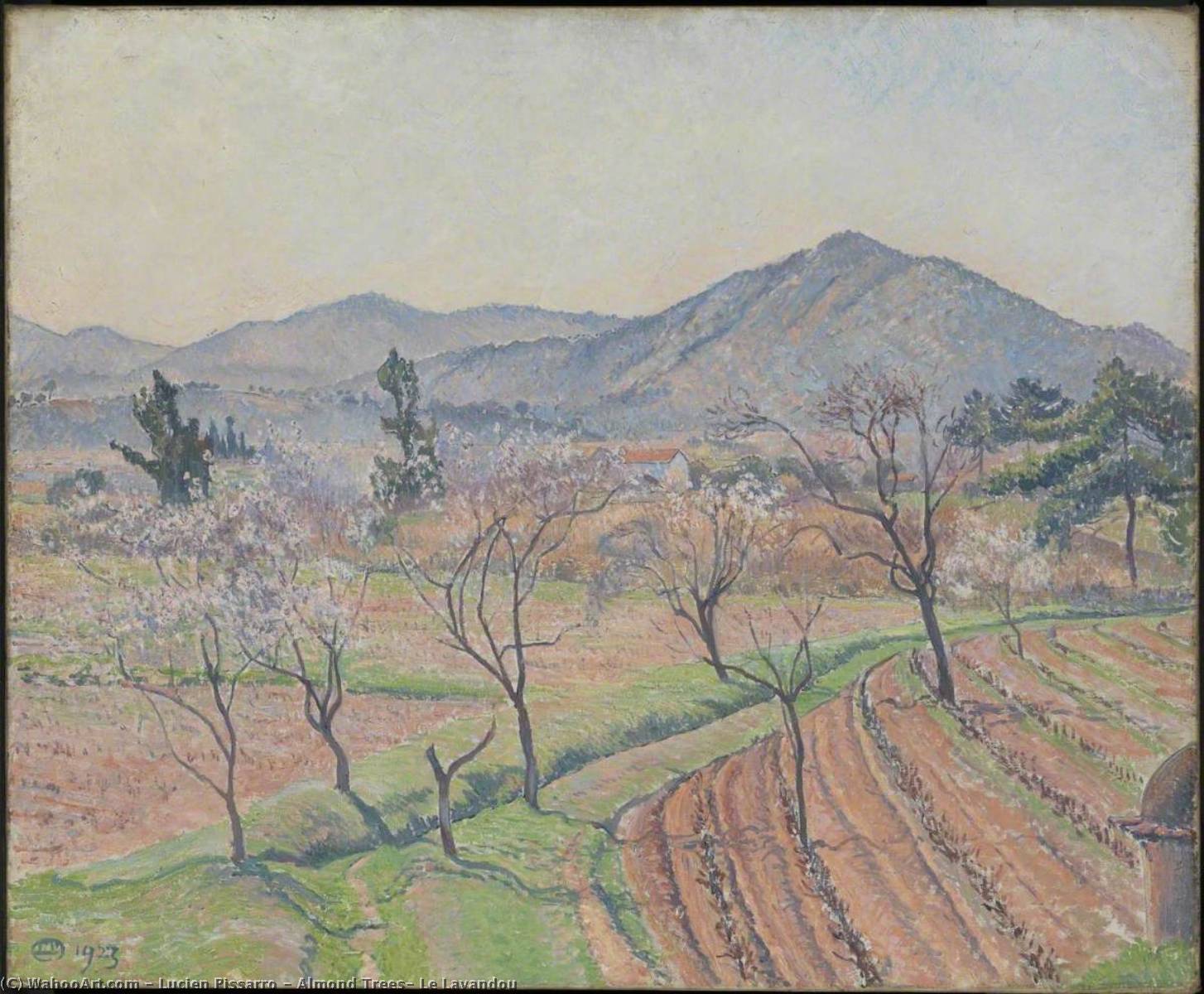 Wikioo.org - The Encyclopedia of Fine Arts - Painting, Artwork by Lucien Pissarro - Almond Trees, Le Lavandou