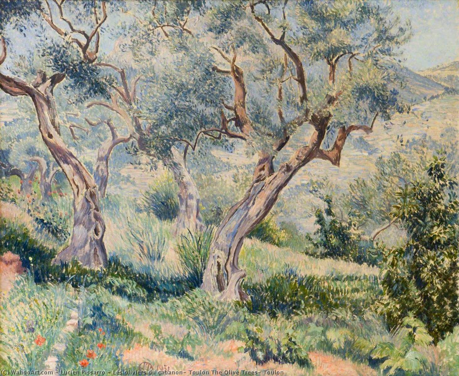 Wikioo.org – La Enciclopedia de las Bellas Artes - Pintura, Obras de arte de Lucien Pissarro - Les oliviers du cabanon , Toulon el aceituna Arboles , Toulon