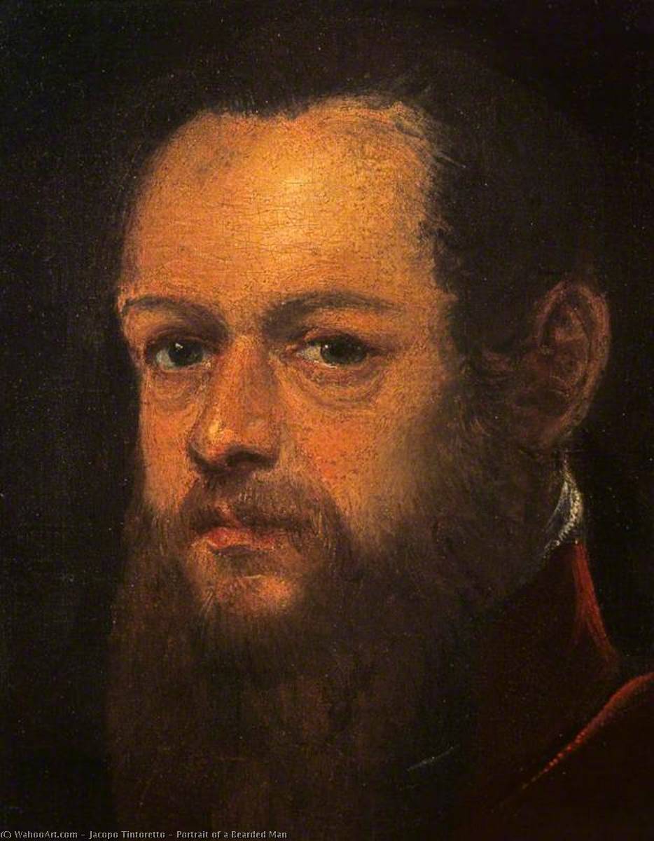 Wikioo.org - The Encyclopedia of Fine Arts - Painting, Artwork by Jacopo Tintoretto - Portrait of a Bearded Man