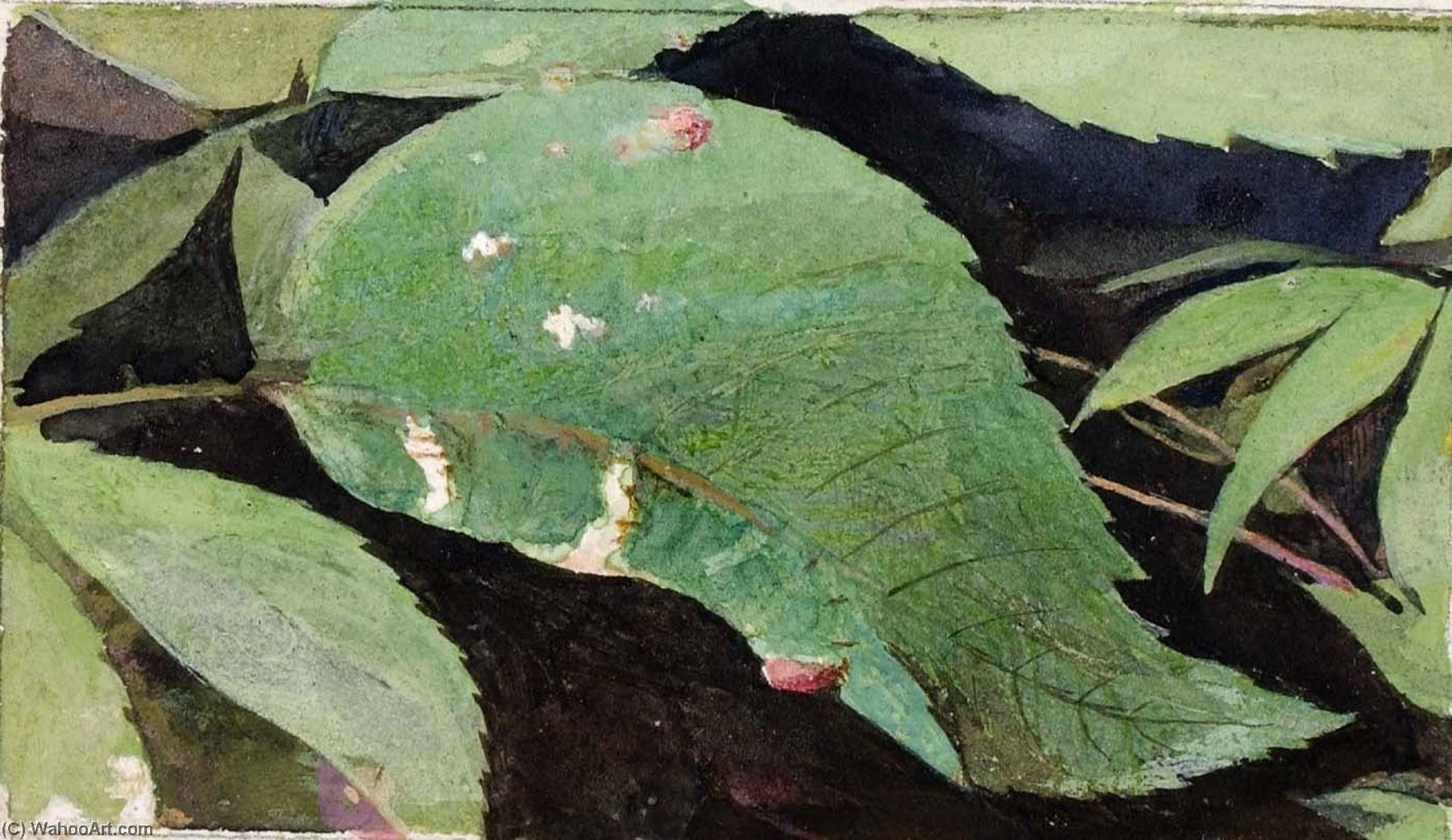 Wikioo.org - The Encyclopedia of Fine Arts - Painting, Artwork by Emma Beach Thayer - White Birch Leaf Edge Caterpillar, study for book Concealing Coloration in the Animal Kingdom