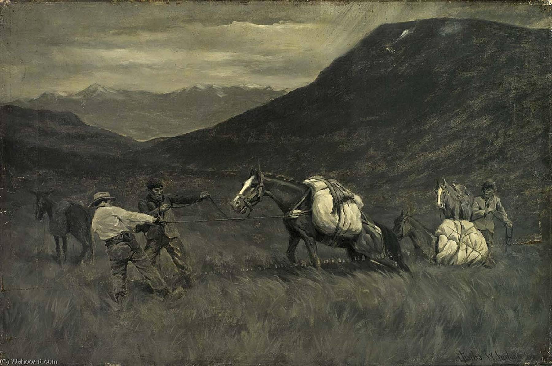 Wikioo.org - The Encyclopedia of Fine Arts - Painting, Artwork by Charles Wellington Furlong - Hard Going on the Bog Lands of Tierra del Fuego