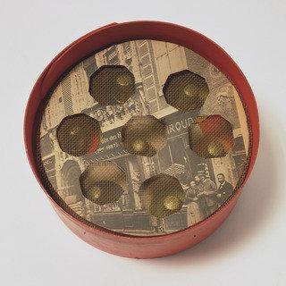 Wikioo.org - The Encyclopedia of Fine Arts - Painting, Artwork by Joseph Cornell - Object Beehive
