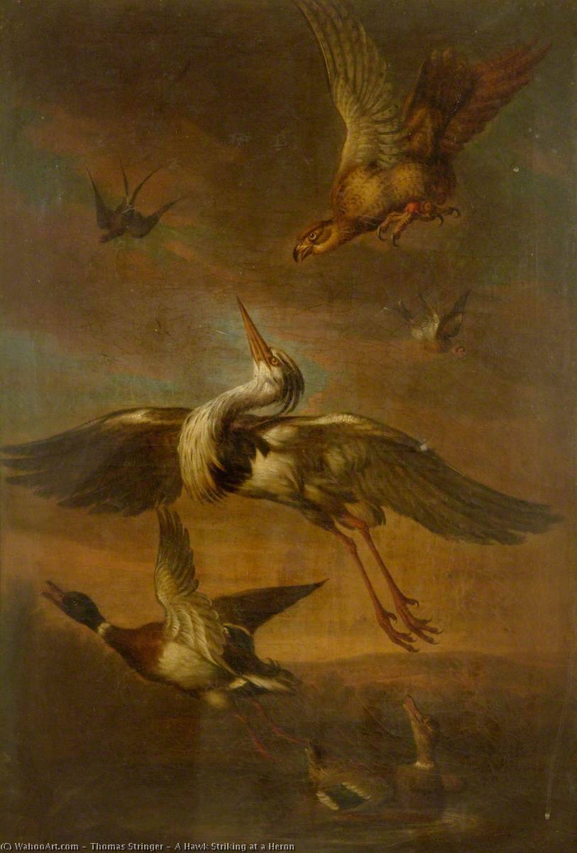 Wikioo.org - The Encyclopedia of Fine Arts - Painting, Artwork by Thomas Stringer - A Hawk Striking at a Heron