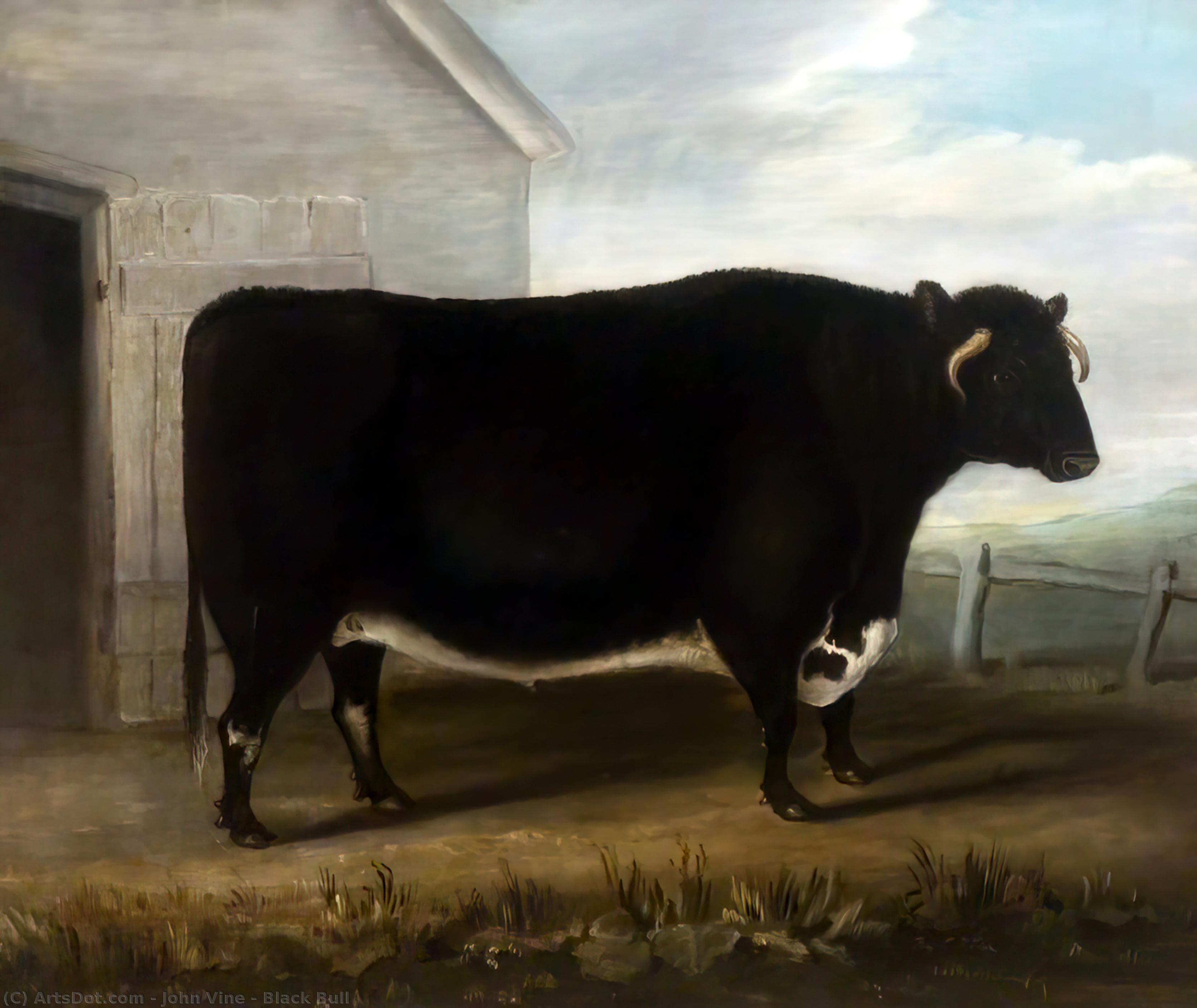 Wikioo.org - The Encyclopedia of Fine Arts - Painting, Artwork by John Vine - Black Bull