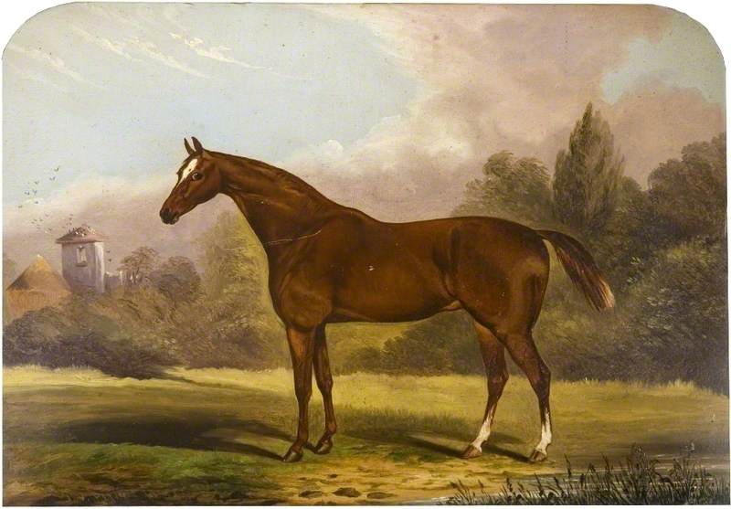 Wikioo.org - The Encyclopedia of Fine Arts - Painting, Artwork by John Vine - Chestnut Horse