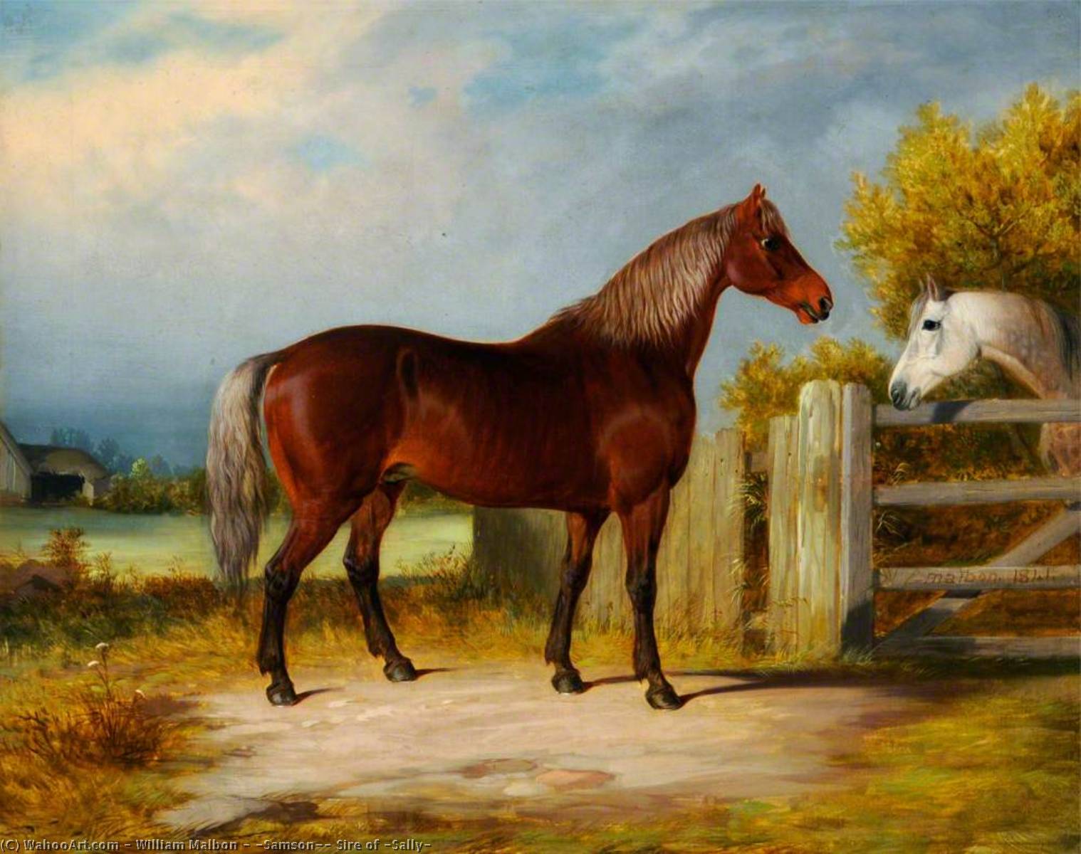 Wikioo.org - The Encyclopedia of Fine Arts - Painting, Artwork by William Malbon - 'Samson', Sire of 'Sally'