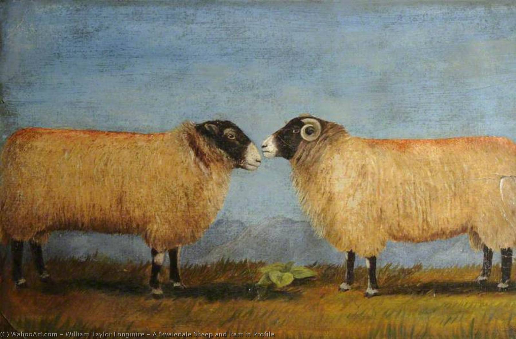Wikioo.org - The Encyclopedia of Fine Arts - Painting, Artwork by William Taylor Longmire - A Swaledale Sheep and Ram in Profile