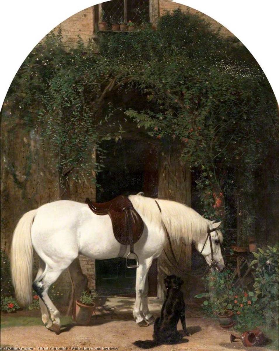 Wikioo.org - The Encyclopedia of Fine Arts - Painting, Artwork by Alfred Corbould - White Horse and Retriever