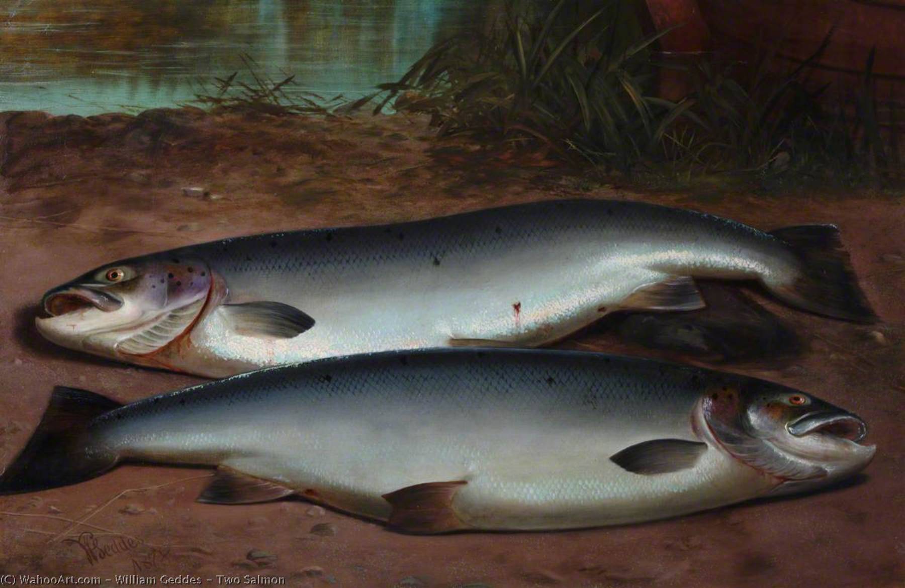 Wikioo.org - The Encyclopedia of Fine Arts - Painting, Artwork by William Geddes - Two Salmon