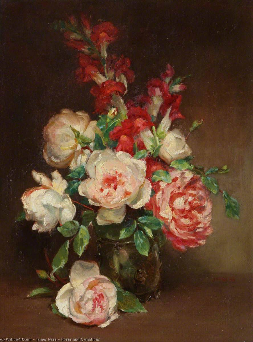Wikioo.org - The Encyclopedia of Fine Arts - Painting, Artwork by James Ness - Roses and Carnations